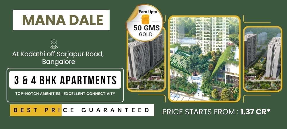 prestige pine forest (24)
